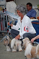 DSC_6264.jpg