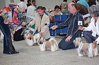 DSC_6269.jpg