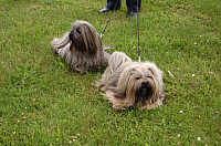 DSC_6271.jpg