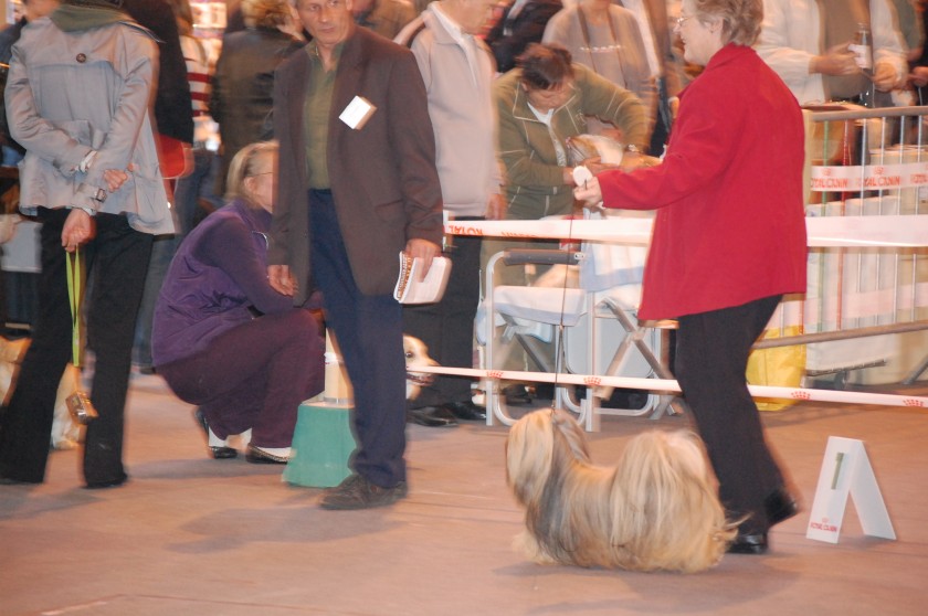 DSC_3355.jpg