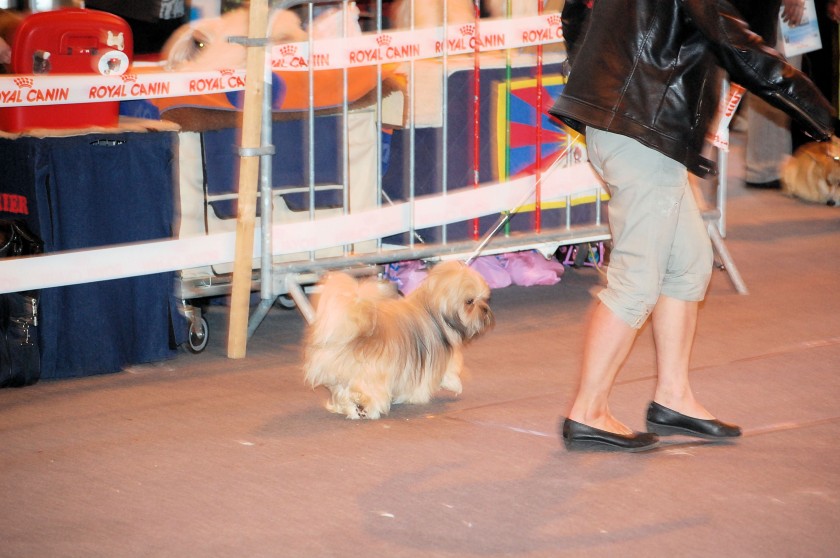 DSC_3359.jpg