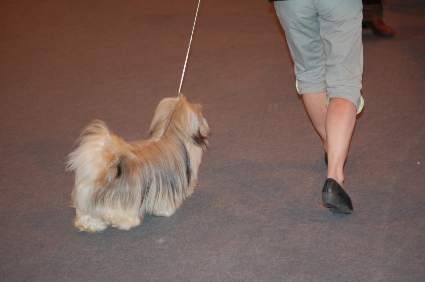 DSC_3365.jpg