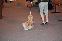 DSC_3356.jpg DSC_3356.jpg