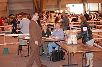 DSC_3357.jpg DSC_3357.jpg