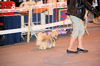 DSC_3359.jpg DSC_3359.jpg