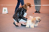 DSC_3361.jpg DSC_3361.jpg