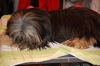 DSC_3362.jpg DSC_3362.jpg