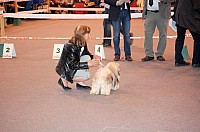 DSC_3363.jpg DSC_3363.jpg