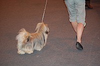 DSC_3365.jpg DSC_3365.jpg