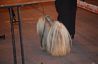 DSC_3368.jpg DSC_3368.jpg
