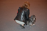 DSC_3372.jpg DSC_3372.jpg