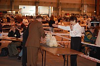 DSC_3373.jpg DSC_3373.jpg