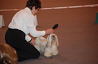DSC_3375.jpg DSC_3375.jpg