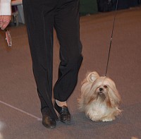DSC_3381.jpg DSC_3381.jpg