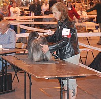 DSC_3382.jpg DSC_3382.jpg