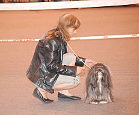 DSC_3384.jpg DSC_3384.jpg