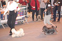 DSC_3387.jpg DSC_3387.jpg