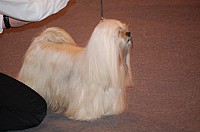 DSC_3393.jpg DSC_3393.jpg