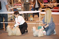 DSC_3394.jpg DSC_3394.jpg