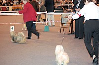 DSC_3398.jpg DSC_3398.jpg