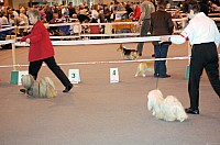 DSC_3399.jpg DSC_3399.jpg