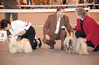 DSC_3403.jpg DSC_3403.jpg