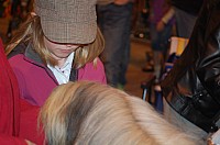 DSC_3408.jpg DSC_3408.jpg