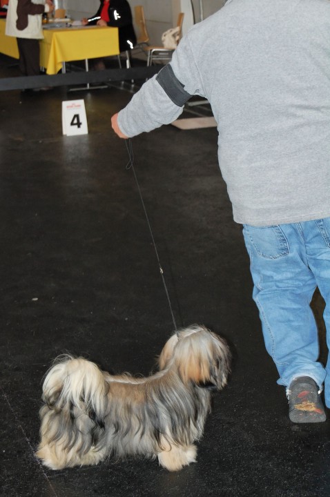 DSC_9684_DxO.jpg