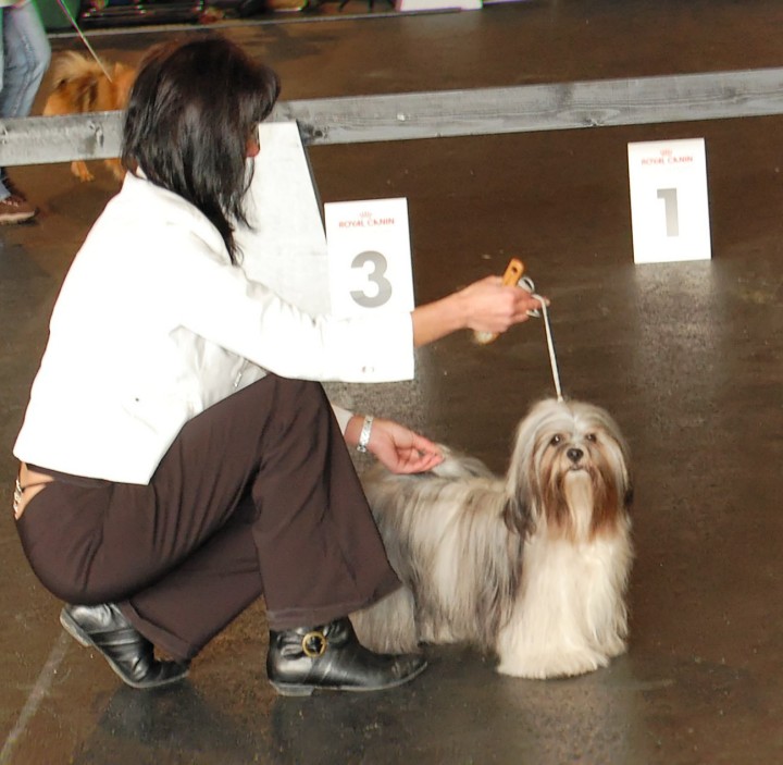 DSC_9694_DxO.jpg