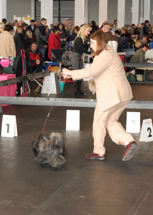 DSC_9713_DxO.jpg