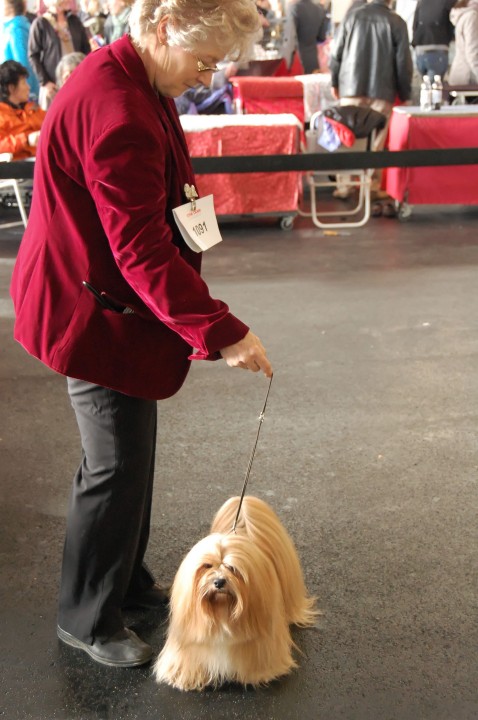 DSC_9717_DxO.jpg