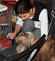 DSC_9629_DxO.jpg DSC_9629_DxO.jpg