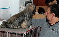DSC_9636_DxO.jpg DSC_9636_DxO.jpg