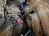 DSC_9648_DxO.jpg DSC_9648_DxO.jpg