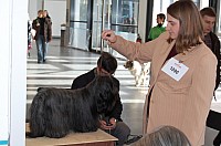 DSC_9651_DxO.jpg DSC_9651_DxO.jpg