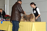 DSC_9661_DxO.jpg DSC_9661_DxO.jpg