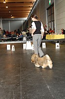 DSC_9662_DxO.jpg DSC_9662_DxO.jpg