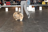DSC_9663_DxO.jpg DSC_9663_DxO.jpg