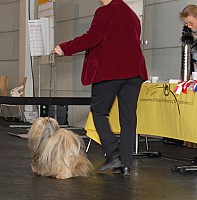 DSC_9667_DxO.jpg DSC_9667_DxO.jpg