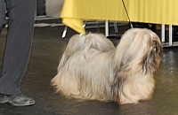 DSC_9671_DxO.jpg DSC_9671_DxO.jpg