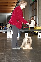 DSC_9672_DxO.jpg DSC_9672_DxO.jpg