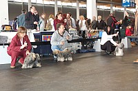DSC_9675_DxO.jpg DSC_9675_DxO.jpg