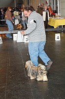 DSC_9682_DxO.jpg DSC_9682_DxO.jpg