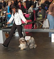 DSC_9690_DxO.jpg DSC_9690_DxO.jpg