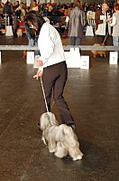DSC_9691_DxO.jpg DSC_9691_DxO.jpg