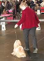 DSC_9719_DxO.jpg DSC_9719_DxO.jpg