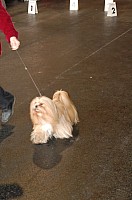 DSC_9720_DxO.jpg DSC_9720_DxO.jpg