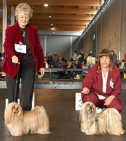 DSC_9732_DxO.jpg DSC_9732_DxO.jpg