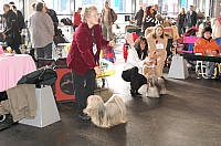 DSC_9735_DxO.jpg DSC_9735_DxO.jpg