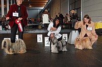 DSC_9749_DxO.jpg DSC_9749_DxO.jpg